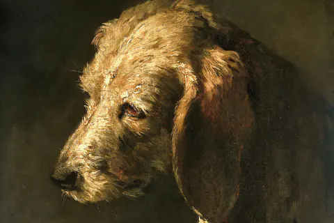 Gemaltes Porträt eines struppigen Hundekopfes (Rijksmuseum, um 1820–1845)