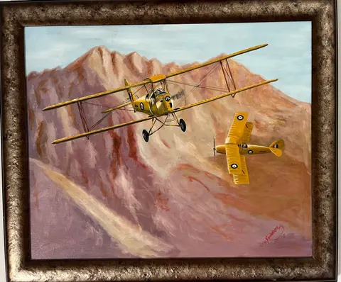 Tiger Moths training von CR Studios